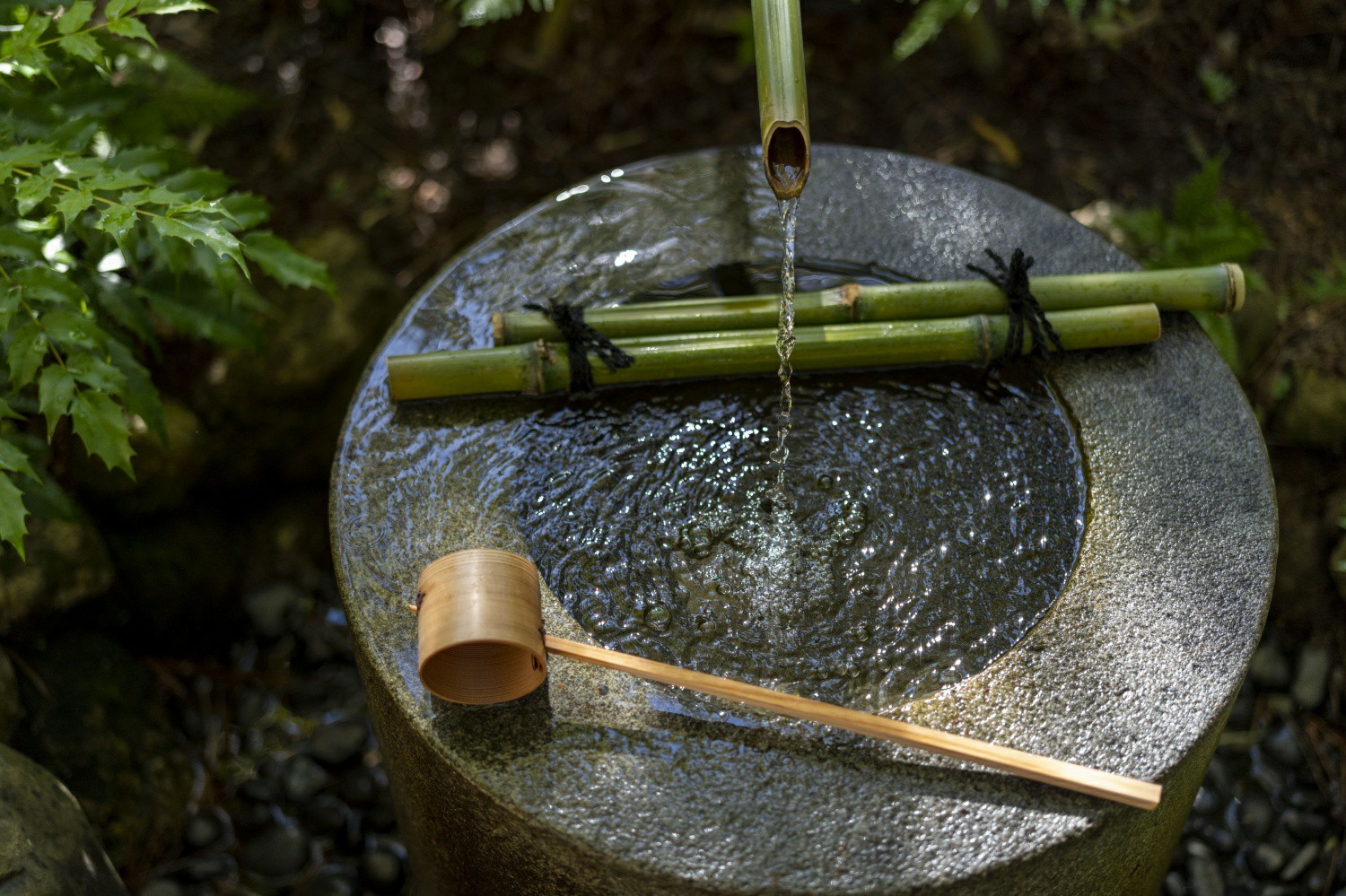 茶道タイトル9 | 陶芸家・茶道家 沼尻宗真 soshin-numajiri
